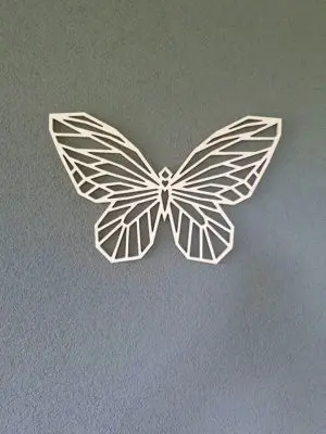 Geometrische vlinder