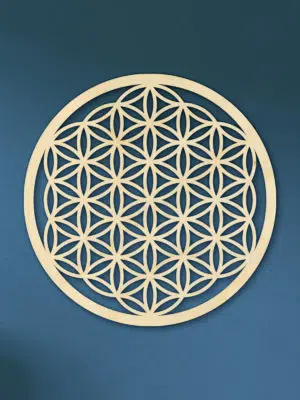 Flower of life hout