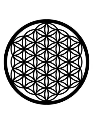 Flower of life hout