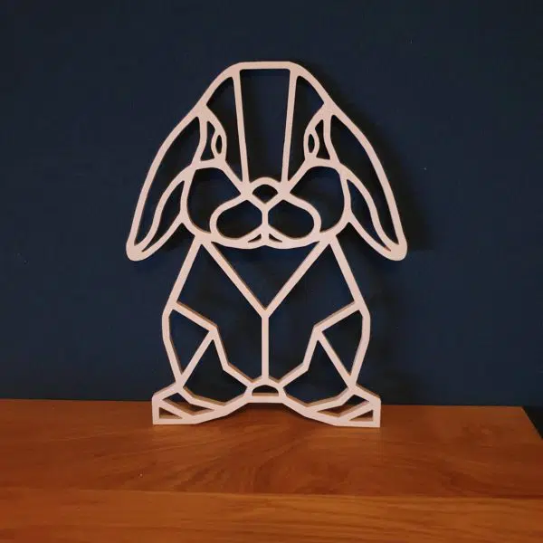 Geometrisch Hangoor konijn