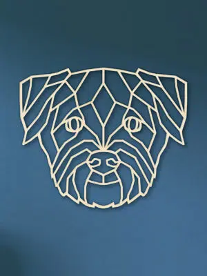 Geometrische Terrier