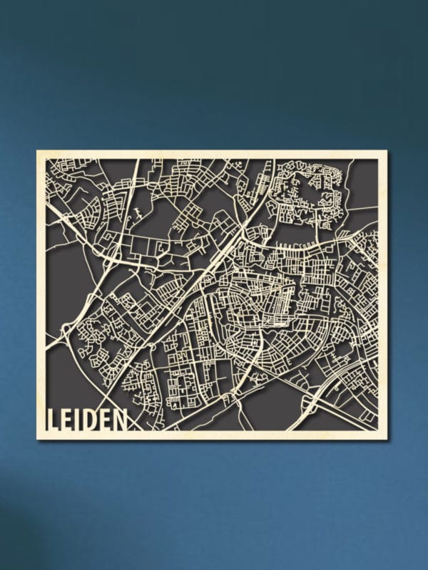 Citymap Leiden