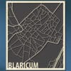 Citymap Blaricum